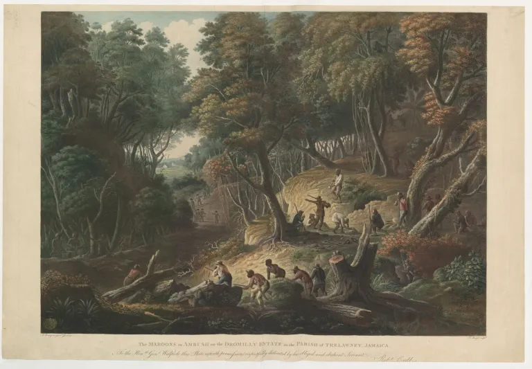 Maroons ambush British troops on the Dromilly Estate, Jamaica / British Library, Public Domain