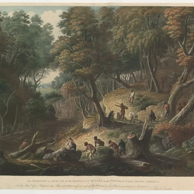 "Maroons ambush British troops on the Dromilly Estate, Jamaica / British Library, Public Domain"